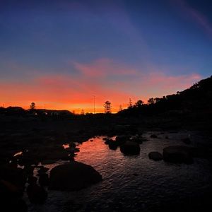 Meet your Posher, Maddy